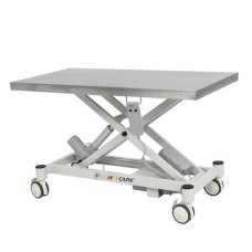 Mobile Lift Table